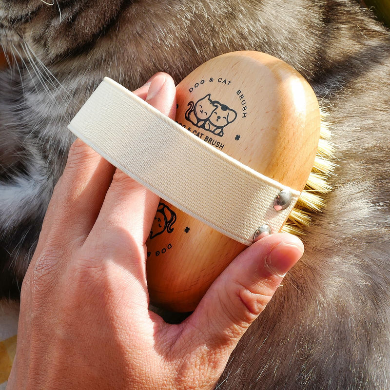Soft Dog Brush, Pets Palm Brush for Dog and Cat Grooming - Bristle Brush for Dogs Short Haired - Soft Bristle Dog Brush Handheld - Ideal for Small Dogs Daily Gentle Grooming Brush (Beechwood) - PawsPlanet Australia