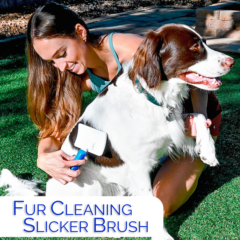 6 In 1 Premium Dog Brush Set - Dog Grooming Brushes - Ball Pin & Bristle Brush, Curved Blade Dematting Comb, Slicker Brush, Deshedding Edge Comb, Detangling Pet Comb - PawsPlanet Australia