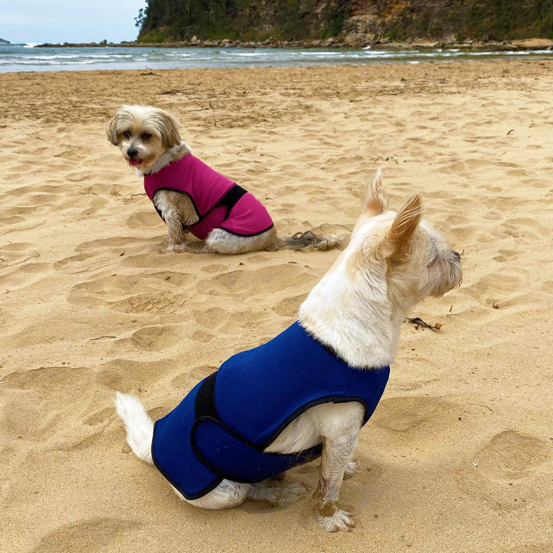 Dog Cooling Vest. Lightweight Jacket with Evaporative Cool Microfiber Technology, UV Protection Shirt for Beach, Sizing for Small, Medium and Large Dogs (XL, Dark Blue) X-Large