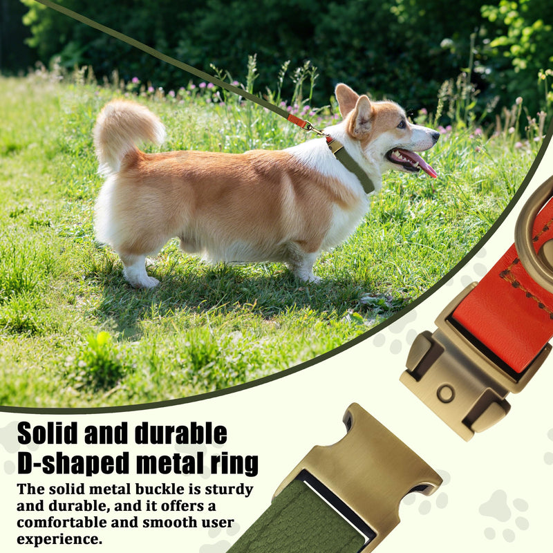 Nylon Dog Collar and Leash Set Durable - Adjustable with a Secure Fastening, Comfortable and Long - Lasting, Ideal for Walking, Training, and Outdoor, Green, XL Army green - PawsPlanet Australia