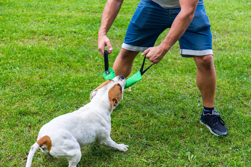 Bull Fit K9 Dog Bite Tug Toy with 2 Strong Handles - Made of Durable & Tear-Resistant French Linen - Perfect for Tug of War, Fetch & Puppy Training - Ideal for Medium to Large Breeds Black - PawsPlanet Australia