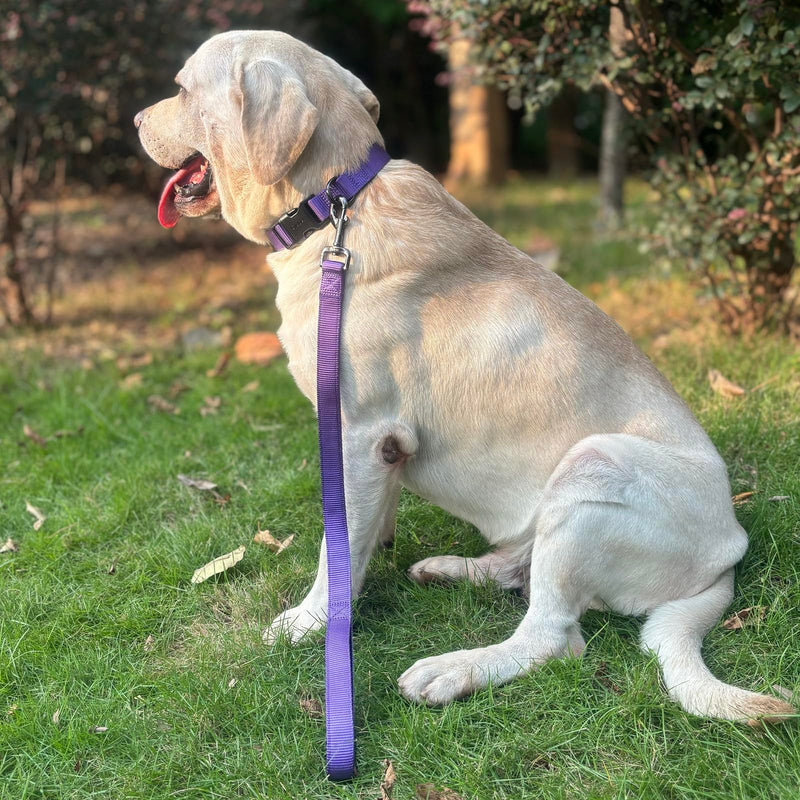 Advanced Dog Short Leash 24 Inches with Sturdy Nylon and Soft Padded Handle Lead for Large Medium Breed Dogs Daily Use Walking,Training etc (24 Inches, Ultra Violet)