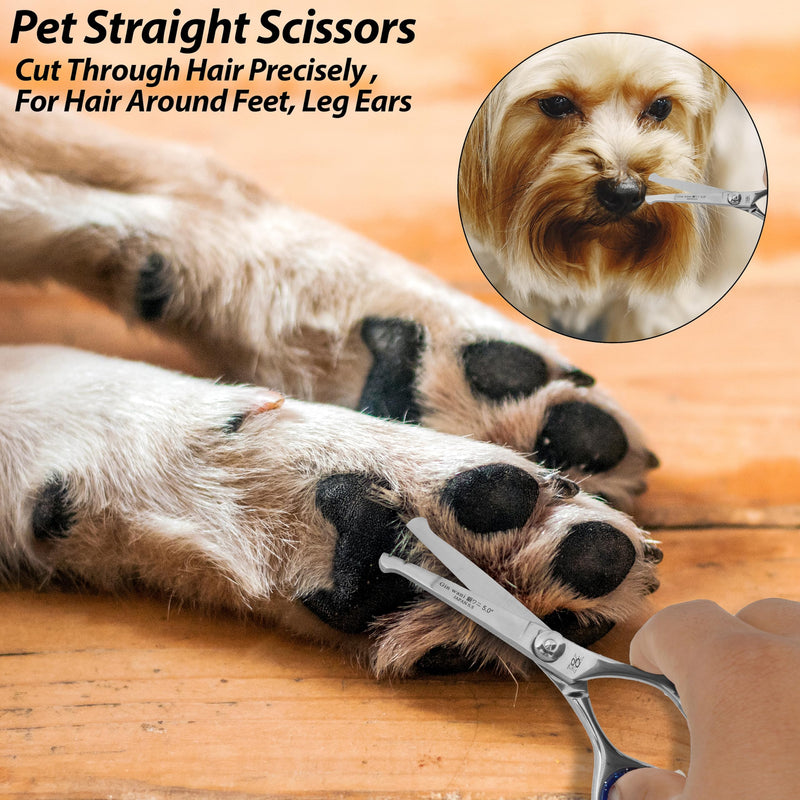 RnK Dog & Cat Grooming Scissors – 5" Small Hair Cutting Scissor for Pets – Japanese Stainless Steel Curved Blades with Safety Round Tips – Ideal for Grooming Kit & Home Use