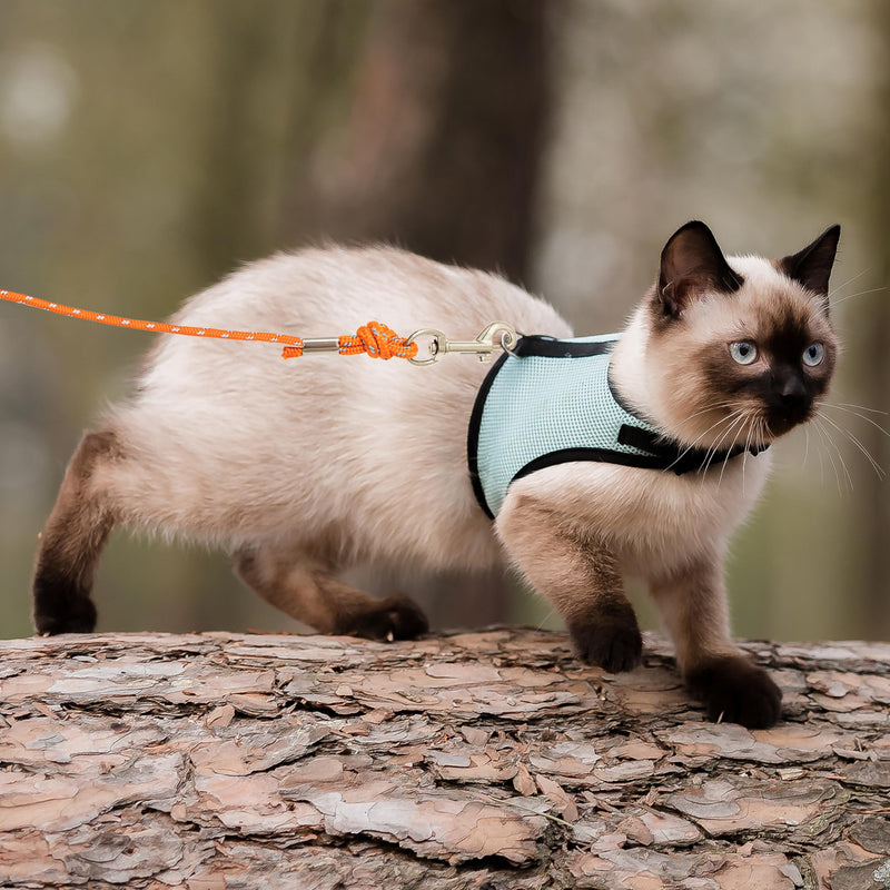 Cat Leash - 15 ft / 30 ft Reflective Long Cat Leash Outdoor for Walking Training Playing - Escape Proof Yard Lead Pet Leash Also for Cats, Small Dogs, Puppy, Kitten, Rabbit Orange - PawsPlanet Australia