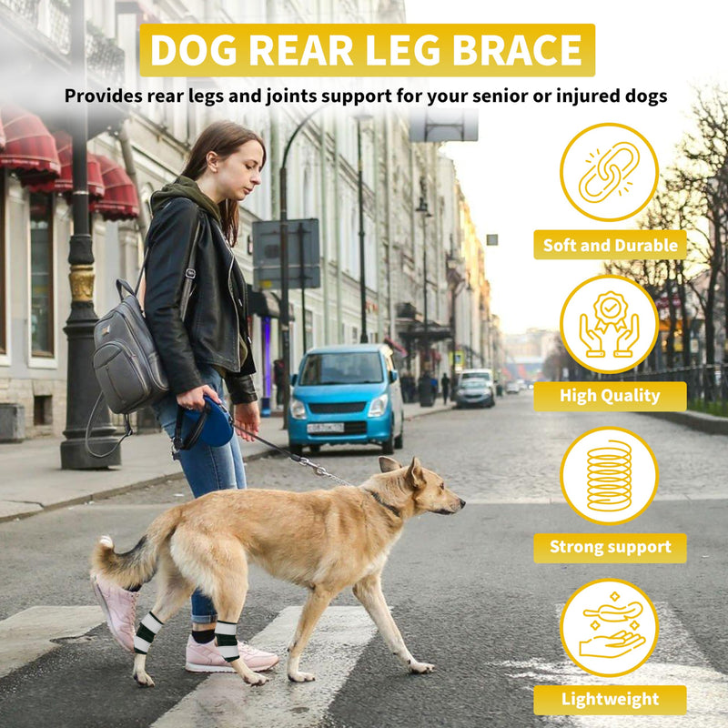 AGON® Dog Rear Brace Pair Hock Joint Brace with Metal Strings and Reflective Wraps Compression Straps Canine Back Leg Protects Wounds. Heals Prevents Injuries Sprains Loss of Stability by Arthritis Medium - PawsPlanet Australia