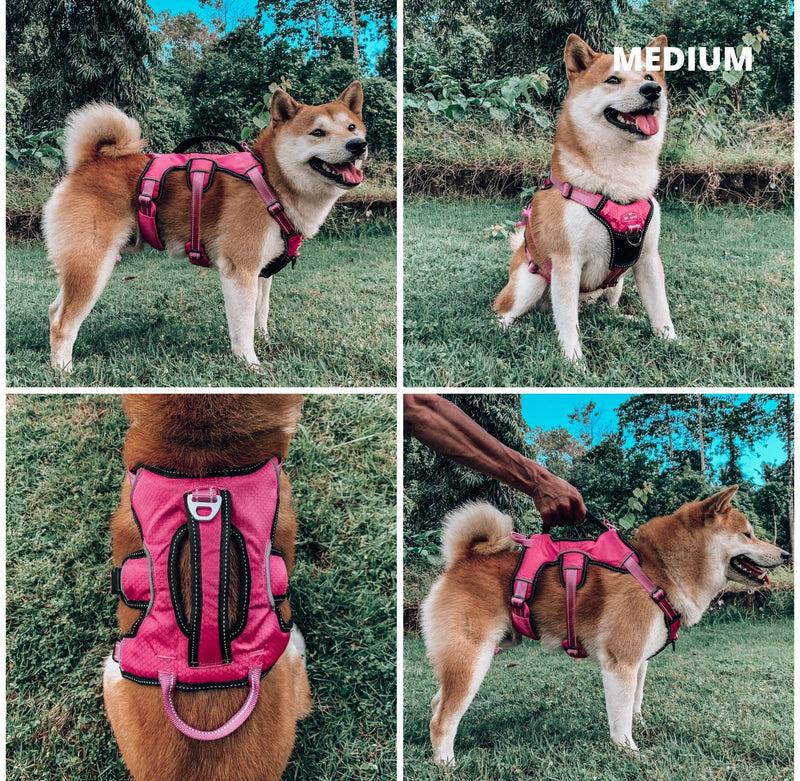 Tuff Pupper Updated for 2024 - Tracker No Escape Dog Harness | Dual Escape Proof Leash Attachments | 5 Point Adjustable Fit Harness for Dogs | Padded Dog Harness for Comfort | Handle Dog Lift Harness Medium (Neck: 18-21" , Chest: 21-28") Hot Pink - PawsPlanet Australia