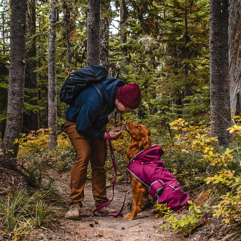 Wilderdog Dog Jacket Waterproof Raincoat with Breathable Interior, Removable Hood, Torso Strap, Secure Closures, Back Pocket and Two Hanging Loops, Foldable into Back Pocket Medium Huckleberry - PawsPlanet Australia