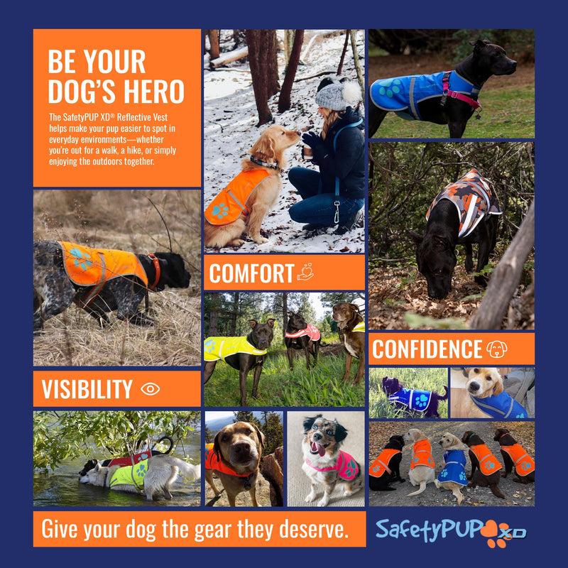 SafetyPUP XD Dog Reflective Vest – Hi-Vis Fluorescent Visibility That Helps to Safeguard Your Pet On/Off Leash in Urban & Rural Areas (Blue, X-Large) Blue - PawsPlanet Australia
