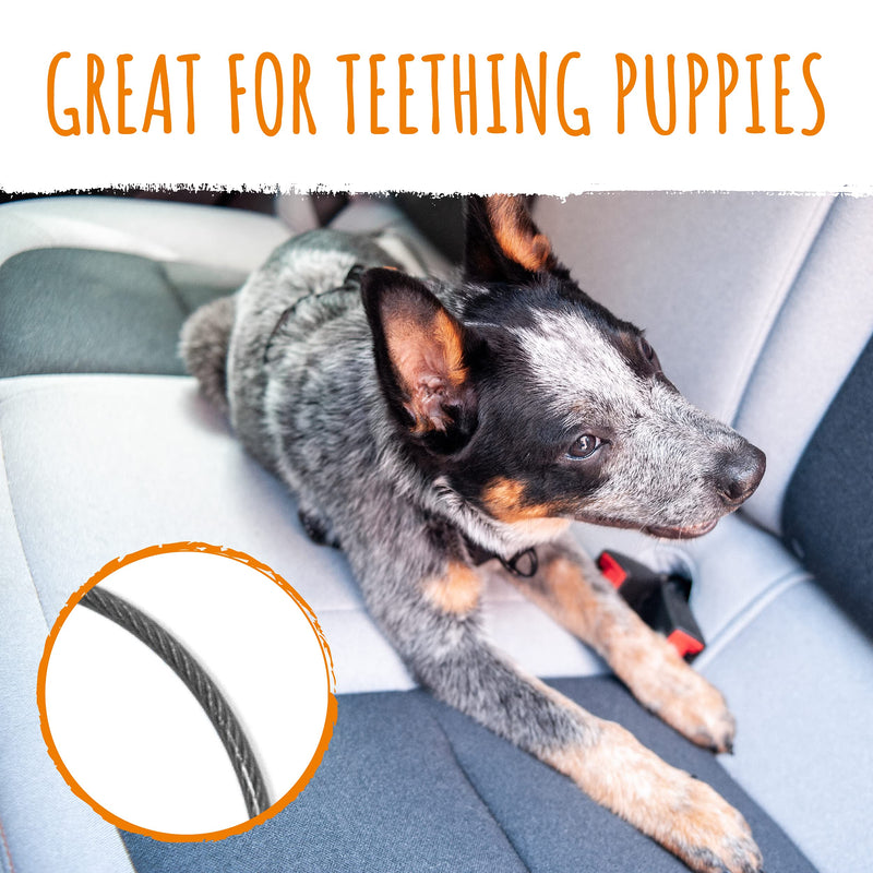 Mighty Paw Dog Seat Belt Vehicle - Chew-Proof Dog Belt - Great for Teething Puppies - Latch Bar Attachment Like Child's Car Seat - Aviation Aluminum Carabiner - Strong Enough for Climbers - 850+ LB Large Black - PawsPlanet Australia