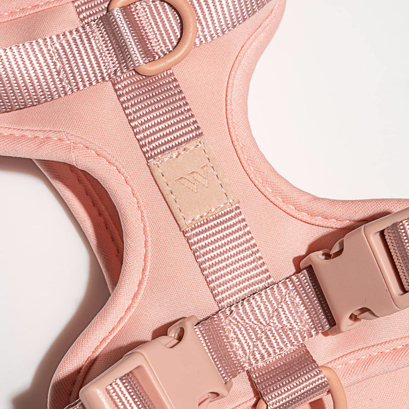 Wild One Harness 2.0 - Medium - Pink
