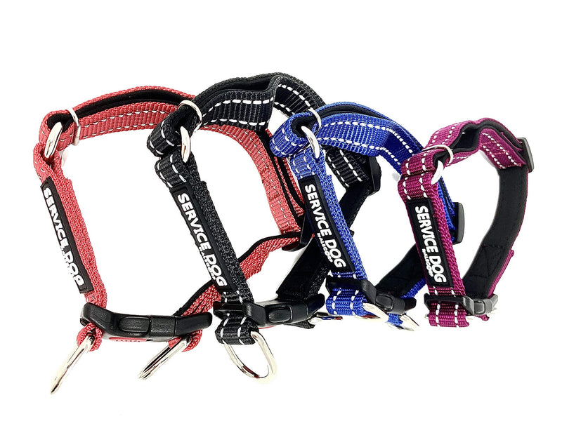 Albcorp Reflective Service Dog Collar – Sizes XS to XL (8.6–28.7 Inches), Service Dog Rubber Patch, Neoprene-Padded Comfort & High-Visibility Gear for Dedicated Handlers, Medium, Red M(13.4" x 17.7") Neck Girth - PawsPlanet Australia