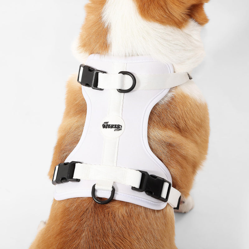 HNS1002F Arlo Medium Adjustable Soft Padded No Pull Pet Harness with 3 Buckles and 3 Leash Clips, Seltzer White Medium (Chest: 18 - 28") - PawsPlanet Australia