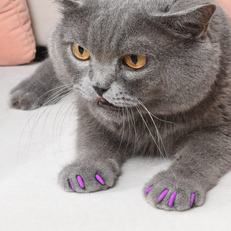 Kitty Caps Nail Caps for Cats Hot Purple & Hot Pink, Medium, 40 Count - 3 Pack Safe, Stylish & Humane Alternative to Declawing Covers Cat Claws, Stops Snags and Scratches FF9321PCS3 Medium (9-13 lbs) - PawsPlanet Australia