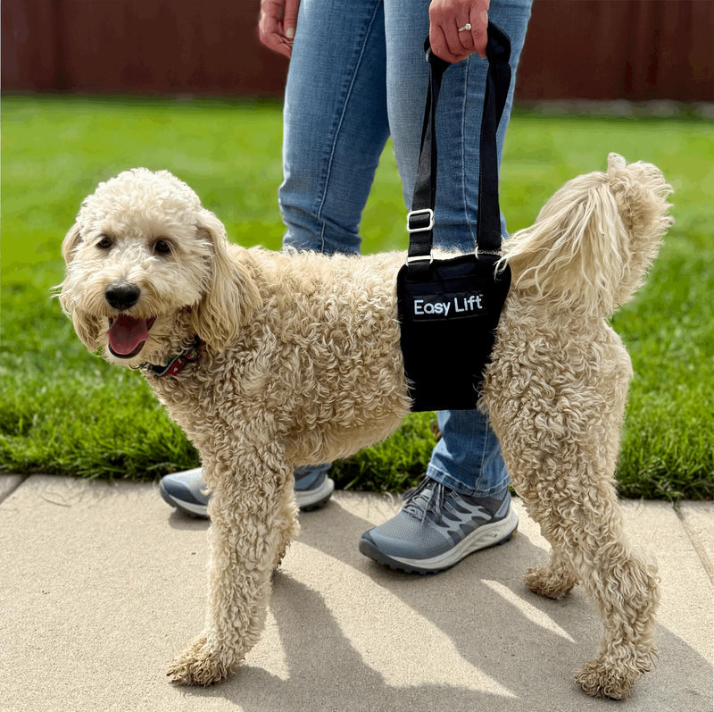 Easy Lift Dog Support Sling, Weak Hind Leg Harness for Injured, Arthritic & Senior Dogs, or Orthopedic Surgery Recovery & Rehabilitation, Machine Wash & Dry, Padded for Comfort, Help Up Stairs Medium - PawsPlanet Australia