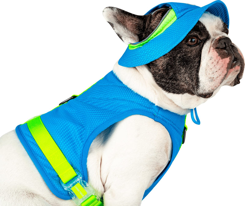 Canada Pooch Cooling Dog Sun Hat - Evaporative Cooling Dog Cap with Breathable Mesh Material for Hot Days, Adjustable Cooling Hat for Dogs Great for Dogs M Blue - PawsPlanet Australia