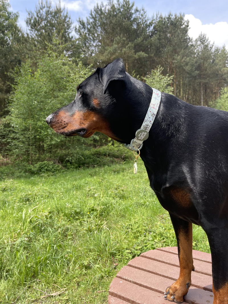 Pawsome Paws Boutique 100 Aker Woods Extra Small Adjustable Disney Collar with Soft Lining and Secure D-Ring - PawsPlanet Australia