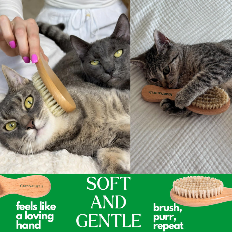 GranNaturals Boar Bristle Soft Cat Brush for Indoor, Outdoor, Short Haired Cats, Kittens, Small Dog, Rabbit, Furry Pets - Gentle Grooming on Sensitive Hair Coat & Tail with Durable Wooden Handle - PawsPlanet Australia