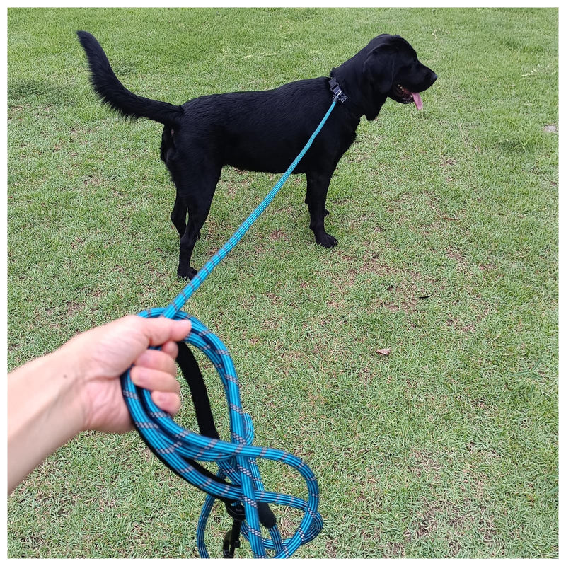 BTINESFUL Long Dog Leash, 10/15/20/30/50FT Dog Training Leash with Soft Handle, Reflective Heavy Duty Rope Dog Lead for Medium Large Dogs Outside Play, Camping (3/8" x 20ft, Blue) 20ft x 3/8inch - PawsPlanet Australia