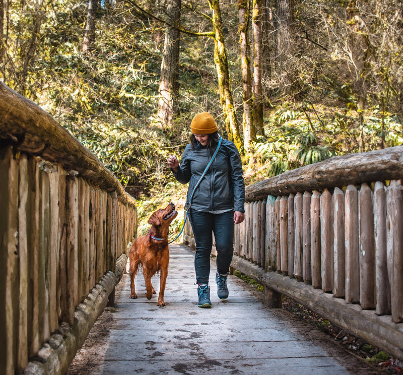 Kurgo 6 in 1 Quantum Leash, Hands Free Leash for Dogs, Running Belt Lead, Crossbody & Waist Belt Style, Reflective, Carabiner Clip, for Training, Hiking, or Jogging, 4 colors Blue - PawsPlanet Australia