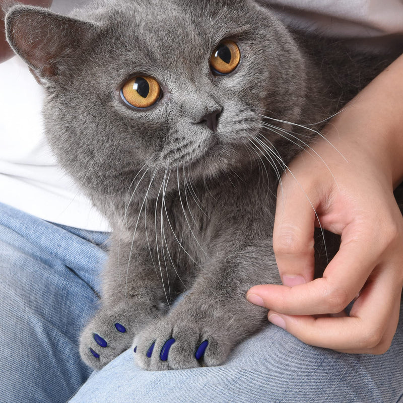 Kitty Caps Nail Caps for Cats | Spring Green with Glitter & Ultra Violet, 40 Count, Medium - 3 Pack | Safe, Stylish & Humane Alternative to Declawing | Stops Snags and Scratches Large (13 lbs or greater) 3-Pack - PawsPlanet Australia