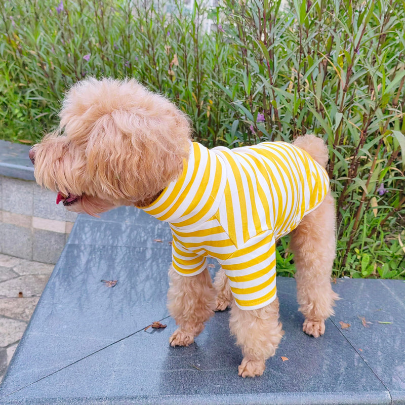 Turtleneck Dog Sweater Cute Doggie Embroidery Super Soft Dog Sweatshirt Dog Shirt Stretchy Striped Puppy Pullover for Cats Small Medium Large Dog(X-Large, Yellow Striped) X-Large - PawsPlanet Australia