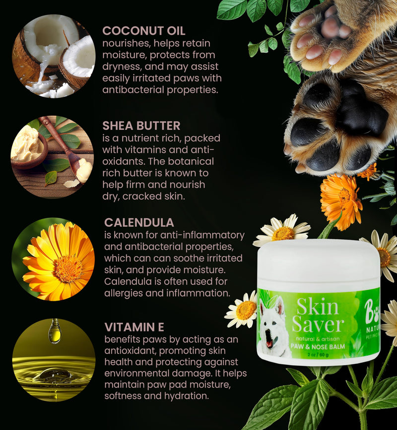 Paw & Nose Balm - All Natural & Vegan Skin Saver for Dogs & Cats - Paw Cream & Lotion for Protecting Dry Paws, Noses & Elbows (2 oz / 60 g Jar) 2 oz / 30 g Jar - PawsPlanet Australia