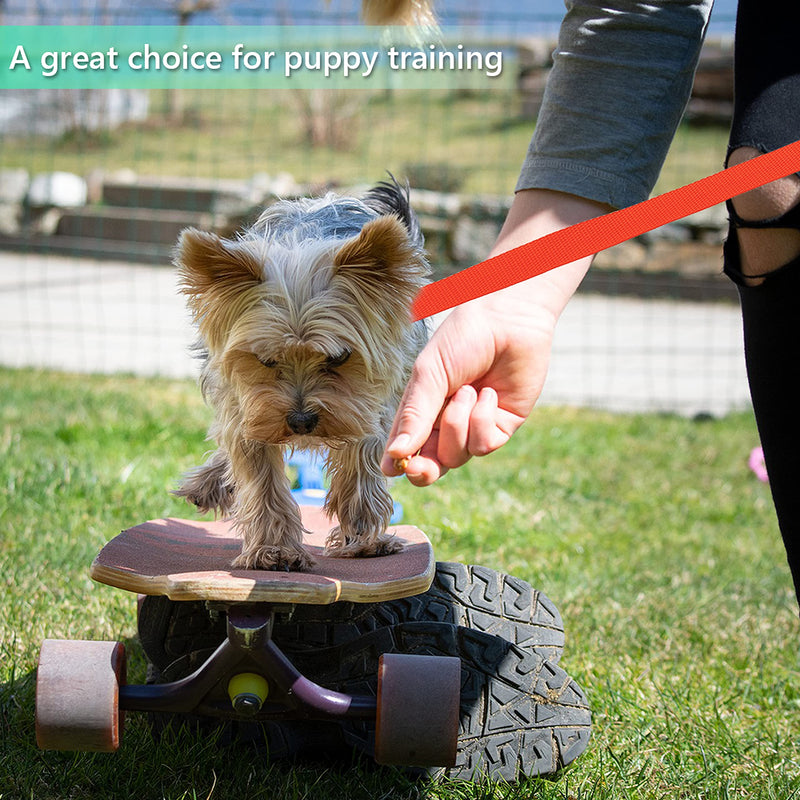 PETPMEEE Slip Lead Dog Leash, 6 FT Short Dog Leash with O-Ring for Walking Rescues Training Running Grooming Shelter, Strong Dog Leashes Control Small Meidum Large Dogs / Puppy 6 pack - PawsPlanet Australia