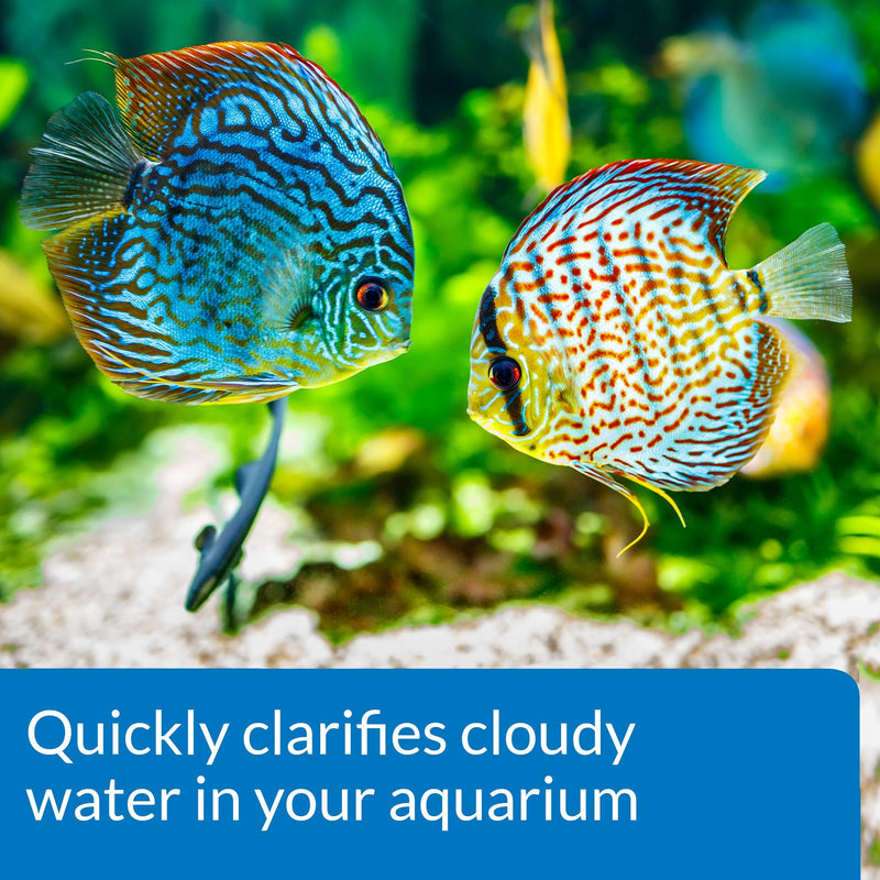 API Quick Start Freshwater and Saltwater Aquarium Nitrifying Bacteria and ACCU-Clear Freshwater Aquarium Water Clarifier - PawsPlanet Australia