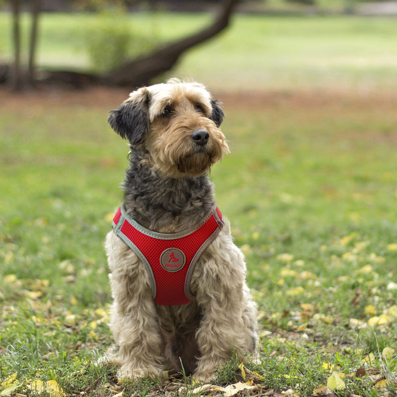 Kruz PET KZA306 Reflective Mesh Dog Harness, No Pull, Quick Fit, Comfortable, Adjustable Pet Vest Harnesses for Walking, Training, Small, Medium Dogs Orange - PawsPlanet Australia