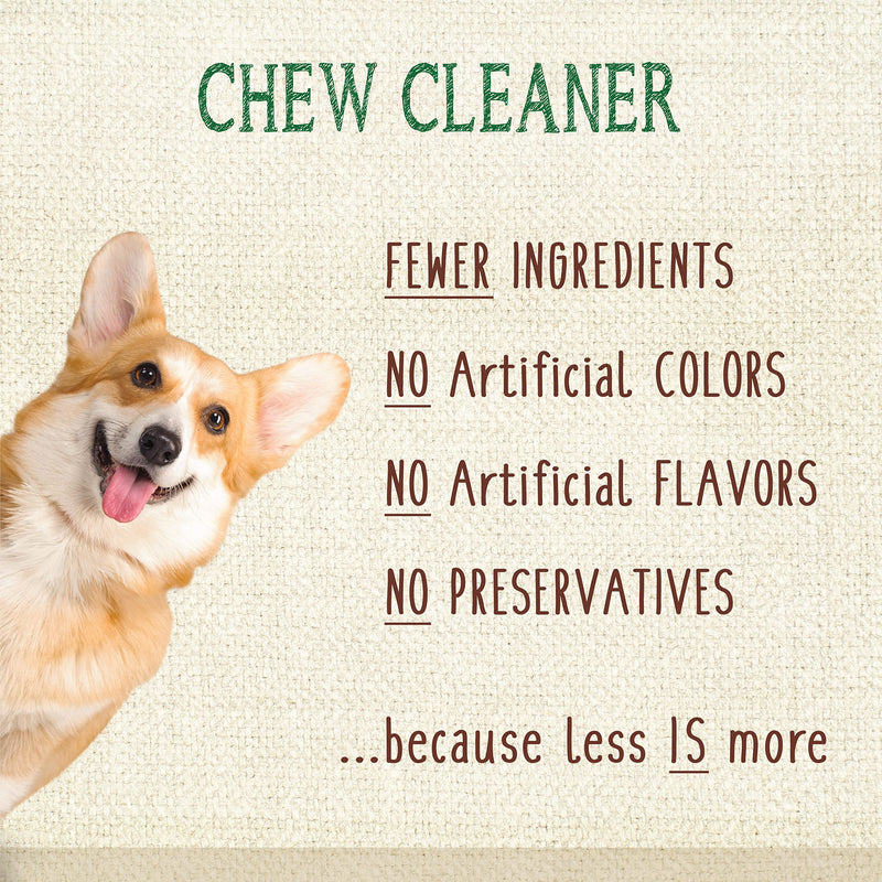 Nylabone Nutri Dent Natural Dental Chews for Dogs, Limited Ingredient Dog Treats Made in the USA, Clean Teeth & Fresh Breath, Healthy Dog Chews, Fresh Breath Flavor, For X-Small Dogs, (160 Count) Fresh Mint 27.2 Ounce (160 Count) - PawsPlanet Australia