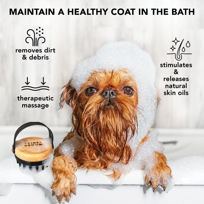 Pride and Groom Bath Brush – Dog Brush with Silicone Teeth & Bamboo Base to Release Debris & Undercoat, Stimulate Natural Skin Oils, Detangle, & Massage in and out of Tub for Healthy Coat - PawsPlanet Australia