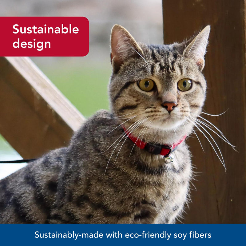 Coastal Pet New Earth Soy Adjustable Breakaway Cat Collar - Eco-Friendly, Odor-Resistant and Adjustable Cat Collar, Rose, 3/8" x 08"-12" 3/8" x 08"-12" (Pack of 1) - PawsPlanet Australia