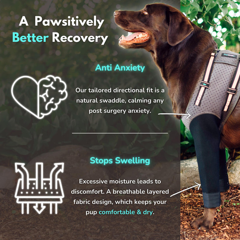 Dog Cone Alternative - Hot Spot Recovery Sleeves, Wound Protection & Hygroma Treatment for Dogs, Reduce Stress & Anxiety, Waterproof & Breathable, Prevent Licking, Ideal Post-Surgery Suit (XXL) XX-Large - PawsPlanet Australia