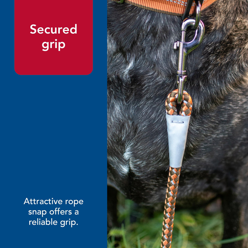 Coastal Pet K9 Explorer Reflective Braided Rope Snap Dog Leash - Heavy-Duty Leash - Comfortable & Secure Grip - Reflective Cord & Rugged Gunmetal Hardware - Orchid, 06' - PawsPlanet Australia