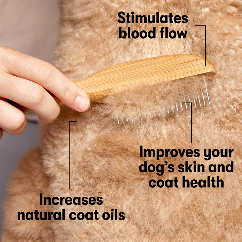 DOG by Dr Lisa - Comb - Detangling Dog Comb - Dematting Grooming Tool - Metal Comb Teeth Removes Knots and Tangles - Stimulate Blood Flow and Increase Natural Coat Oils - Made From Sustainable Bamboo - PawsPlanet Australia