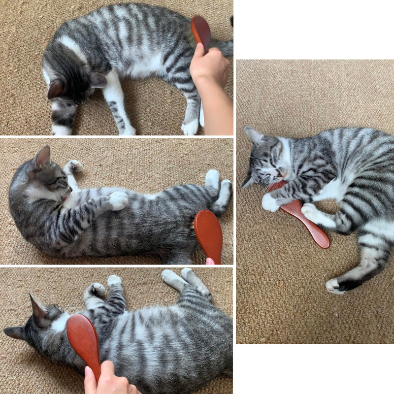Bristle Cat Hair Brush for Shedding, Soft Cat Brush Wooden Handle, Short & Long Haired Dog Brush Pet Grooming - PawsPlanet Australia