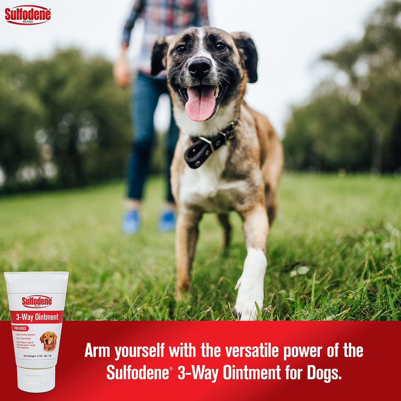 Dog Wound Care Ointment, Relieves Pain & Prevents Infection For Dog Cuts, Scrapes, Bites and Injuries, 2 Ounce - PawsPlanet Australia