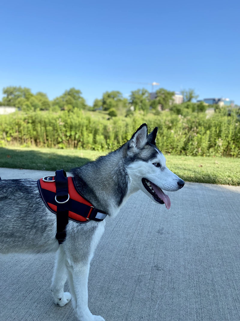 ShawnCo Essential Dog Harness, No-Pull Pet Vest with 3 Leash Clips, No Choke, Reflective, Adjustable and Padded, for Easy Walking and Training for Small, Medium and Large Dogs (Mustang Red, L) Mustang Red - PawsPlanet Australia