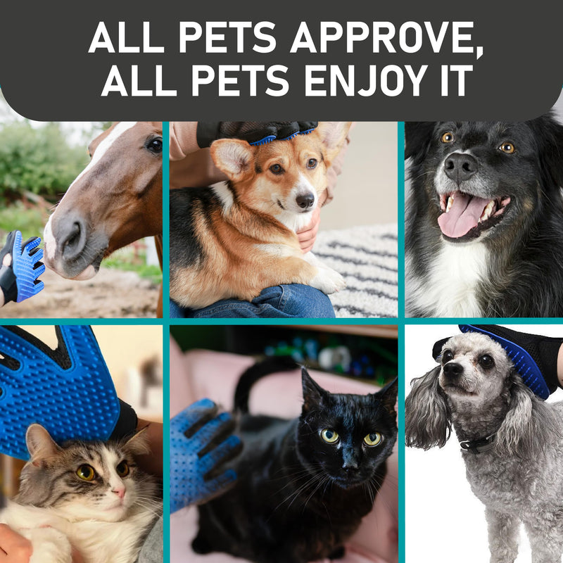 Maxpower Planet Pet Grooming Gloves for Dogs and Cats - Grooming Mitt for Dogs -Cat Gloves - Hair Removal Bruh - All Hair Types Blue - PawsPlanet Australia