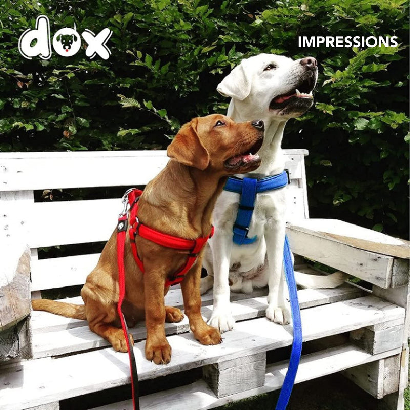 DDOXX Step-in Dog Harness for Small Dogs - Lightweight, Breathable, Durable Nylon, Safety Buckle, Metal D-Ring - Heavy Duty, Adjustable, Escape-Proof XS Puppy Harness in Blue for Training and Walking XS - 0.4 x 12.6-17.5 in - PawsPlanet Australia