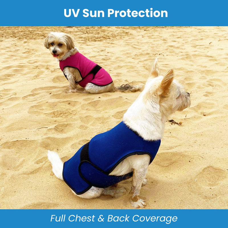 Dog Cooling Vest – Lightweight Evaporative Shirt with UV Protection for Small, Medium, and Large Dogs – Breathable Soft Fabric for Hot Weather (M, Rose Pink) - PawsPlanet Australia