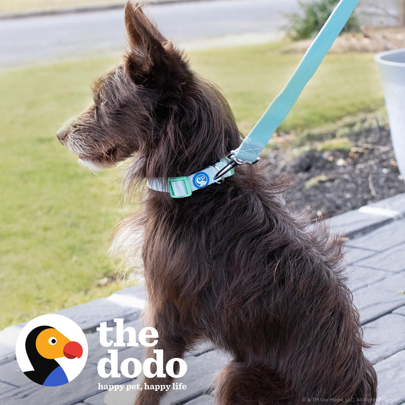 The Dodo All Nylon Blue and Green Collar and Leash Set - Small; Matching Cute Leash and Collar Set, Waterproof Dog Leash and Collar Set, Perfect for Beach Day or Trips to The Lake