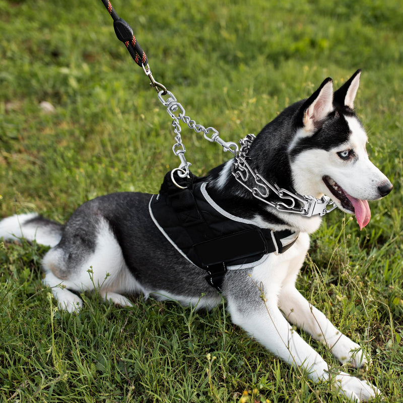 Prong Collar Safety Clip Stainless Steel Dog Safety Clip, Leash Backup with Dual Clasps, Collars and No Pull Harness Connectors - PawsPlanet Australia