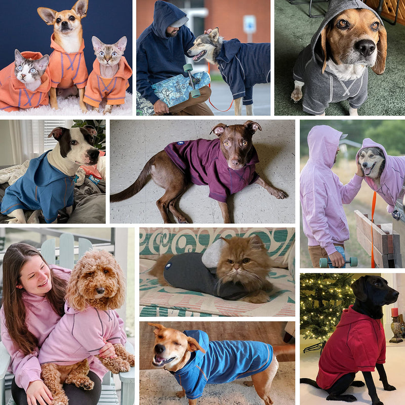 Blueberry Pet Essentials Soft & Comfy Better Basic Cotton Blend Dog Hoodie Sweatshirt in Burgundy Red, Back Length 10", Pack of 1 Jacket for Dogs 10 inch (Pack of 1) Dog Hoodie - Burgundy Red - PawsPlanet Australia