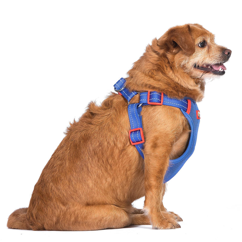 The Dodo Blue Dog Harness - Extra Large; Easy Step-in Harness for Dogs; Breathable Mesh Fabric; Snap-Together, Pinch Release Buckle, Ring for Leash Attachment; Everyday Pet Apparel X-Large - PawsPlanet Australia