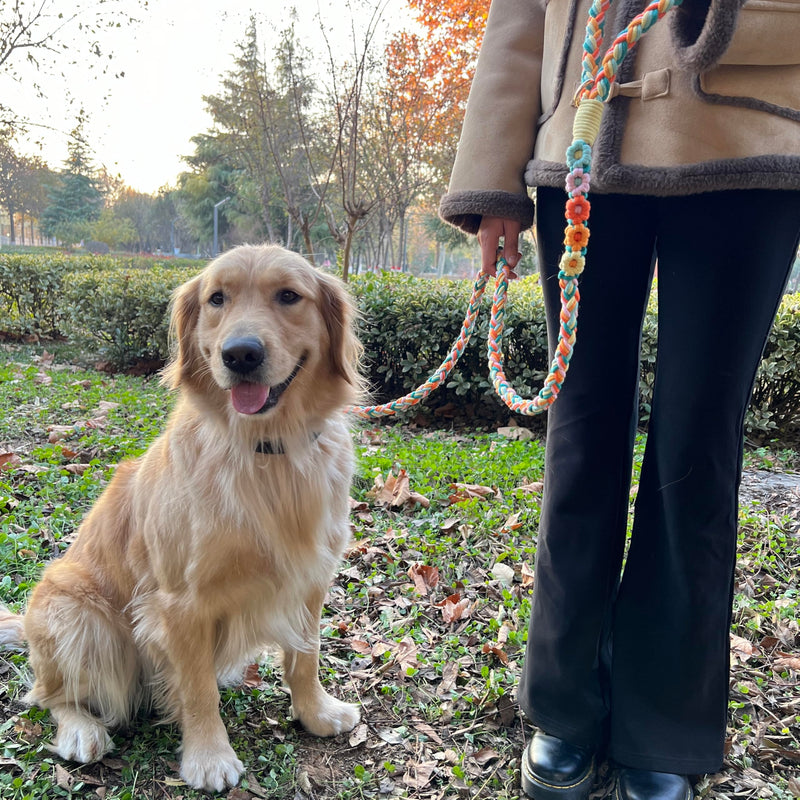 Handmade 5ft Braided Cotton Dog Leash with Unique Floral Handle, Durable and Stylish, Ideal for Small to Large Dogs,Rainbow Mix Fiesta Twist - PawsPlanet Australia