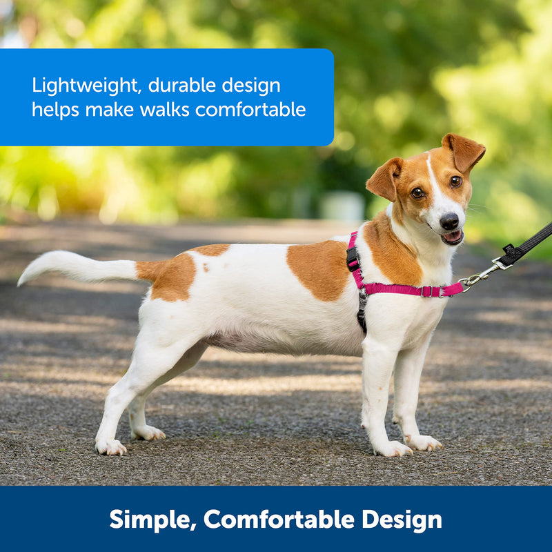 PetSafe Easy Walk Harness, No-Pull Walking Harness for Dogs, Adjustable Fit, Includes 1.8m Lead, Medium-Raspberry, Medium Raspberry - PawsPlanet Australia