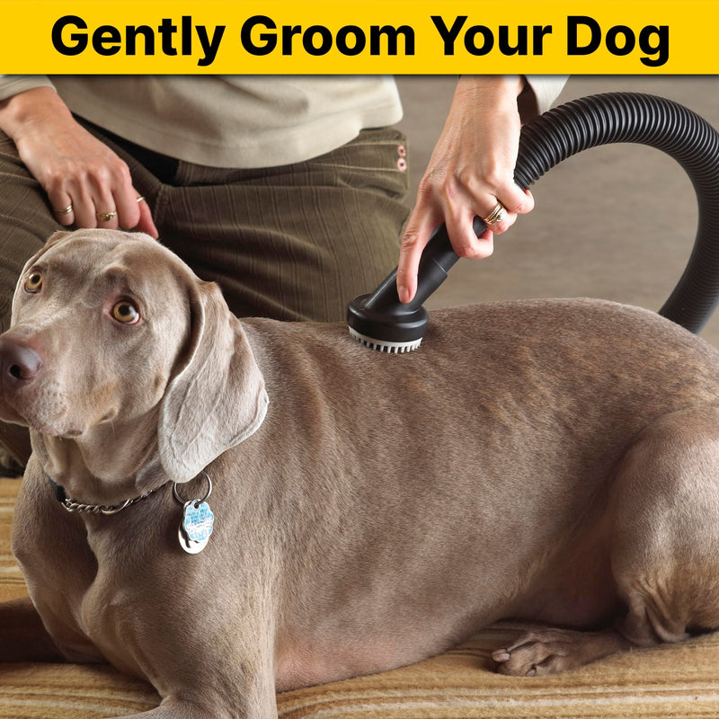 Shop-Vac 9190400 Dog Grooming Tool, 1.25 Inch Diameter, Soft Bristles for Gentle Pet Grooming and Vacuuming, (1-Pack) 1-1/4-Inch - PawsPlanet Australia