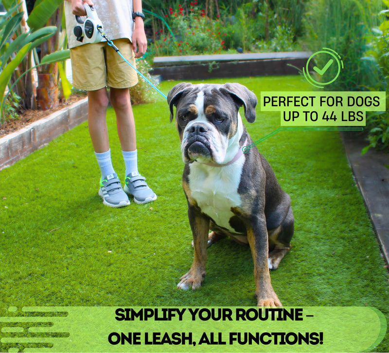 Snuggle Paws 16ft Retractable Dog Leash – All-in-One with LED Flashlight, Poop Bag Holder, Heavy Duty Chew-Proof Steel Cable & Reflective Tape – Compact, No-Tangle Leash for Small Dogs up to 44 lbs S | 16.4 ft | 44 lbs - PawsPlanet Australia