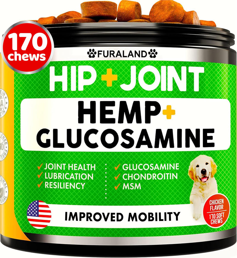 Hemp Hip and Joint Supplement for Dogs - Glucosamine for Dogs - 170 Dog Joint Pain Relief Treats - Chondroitin, Hemp Oil, MSM - Mobility & Flexibility Support - Advanced Joint Health - Made in USA 12 Ounce (Pack of 1) Hip & Joint Hem[ Chews